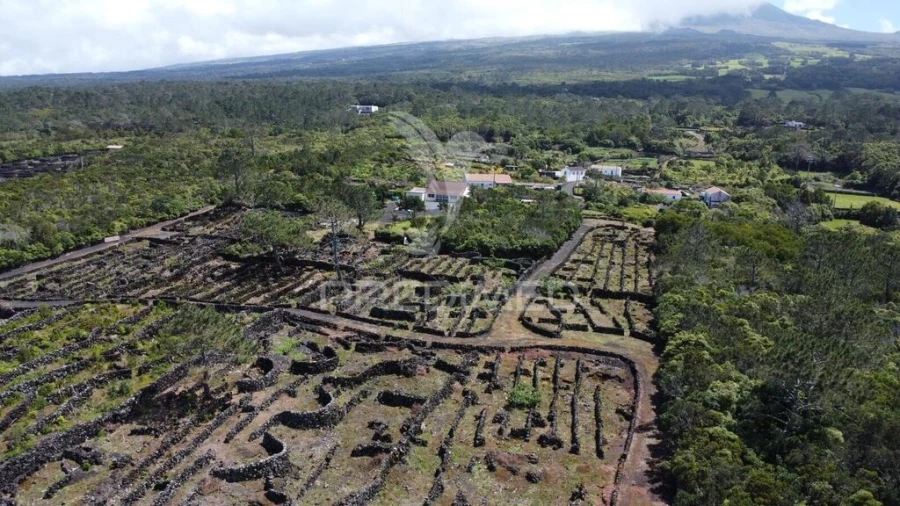 Terreno para Venda em Bandeiras Foto 8