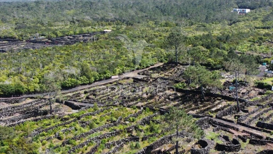 Terreno para Venda em Bandeiras Foto 6