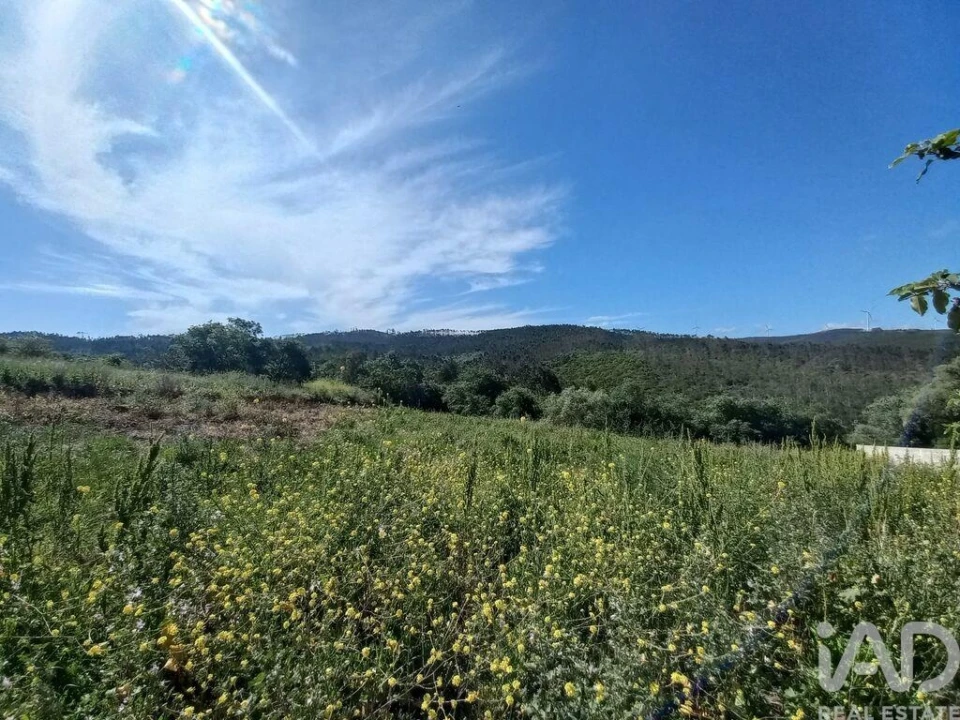 Terreno para Venda em Arrabal Foto 8