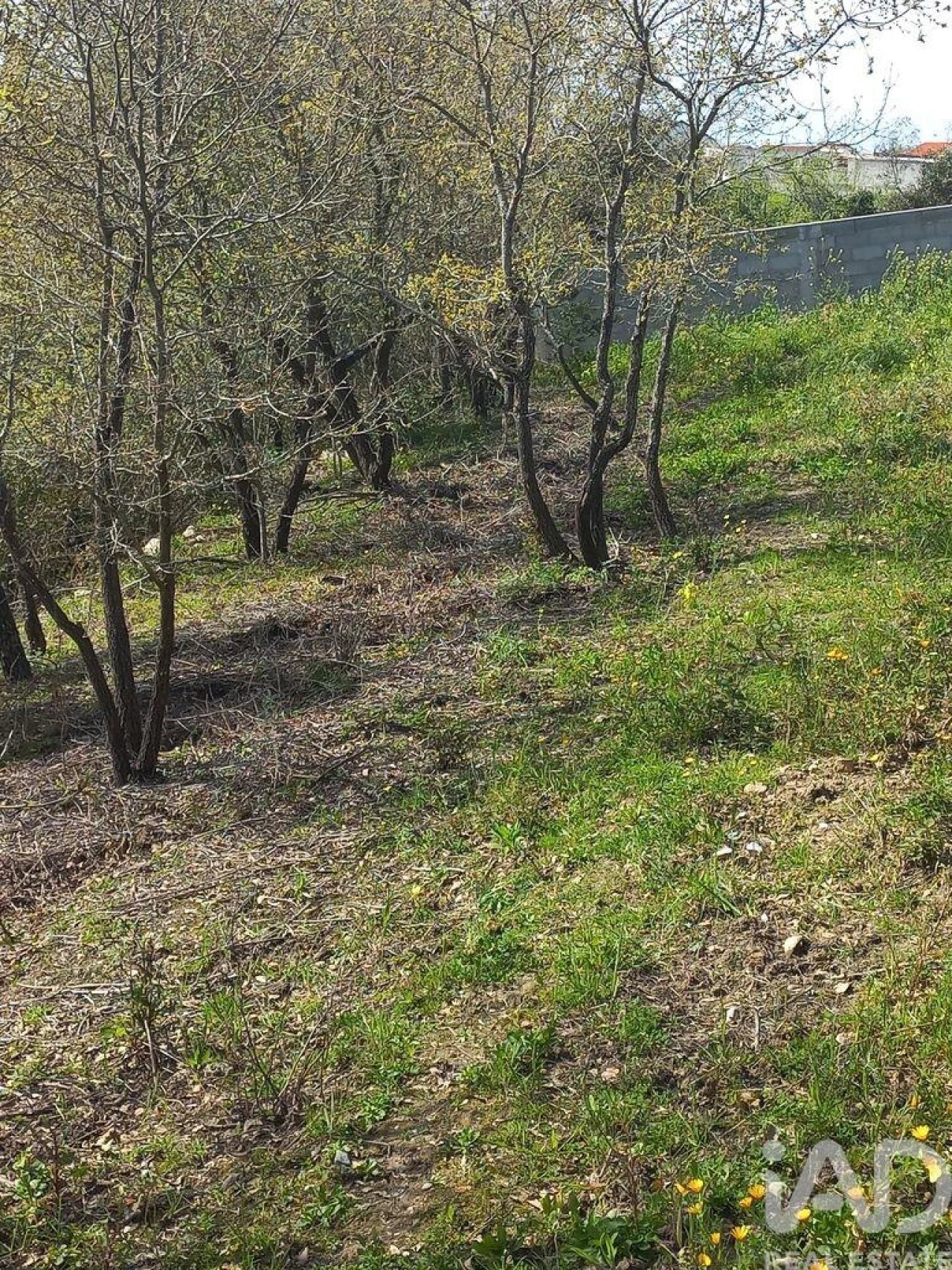 Terreno para Venda em Arrabal Foto 11