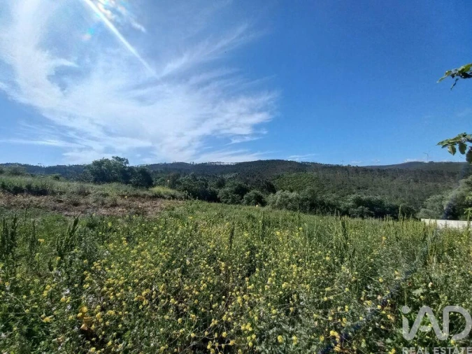Terreno para Venda em Arrabal Foto 8