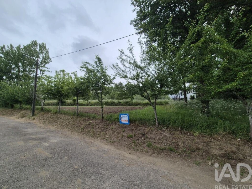 Terreno para Venda em Lobão, Gião, Louredo e Guisande Foto 11