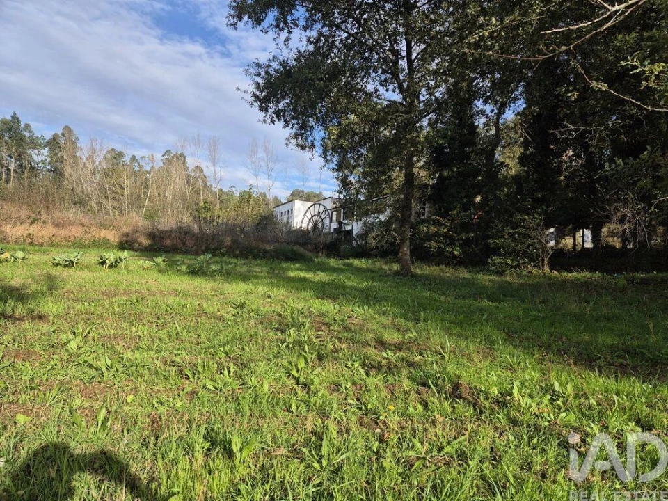 Terreno para Venda em Lobão, Gião, Louredo e Guisande Foto 1