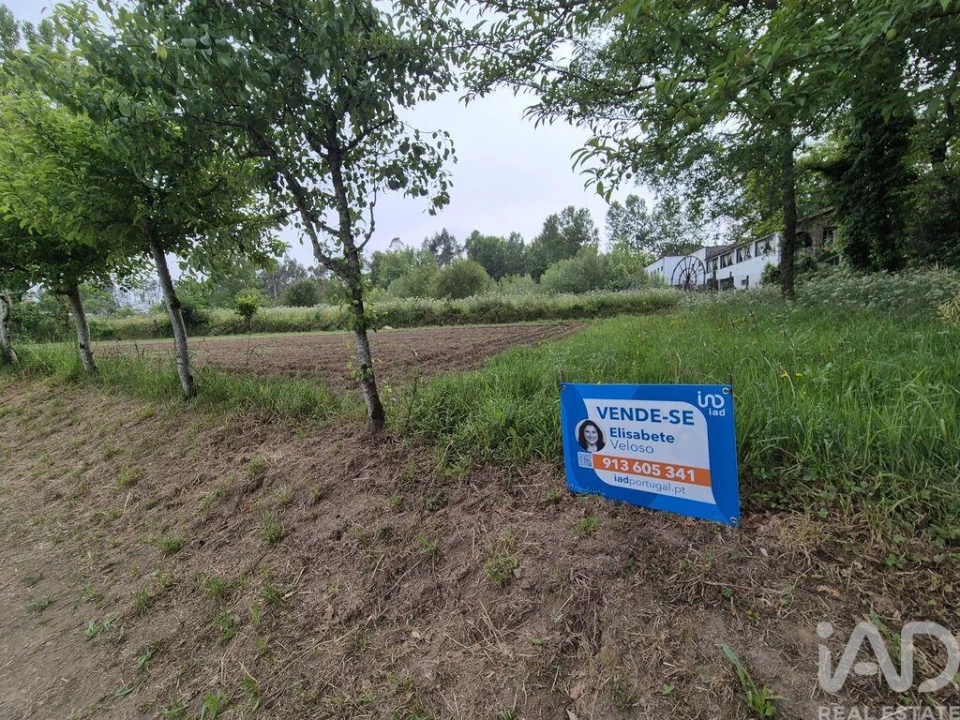 Terreno para Venda em Lobão, Gião, Louredo e Guisande Foto 6