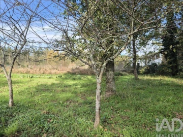 Terreno para Venda em Lobão, Gião, Louredo e Guisande