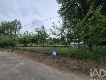 Terreno para Venda em Lobão, Gião, Louredo e Guisande