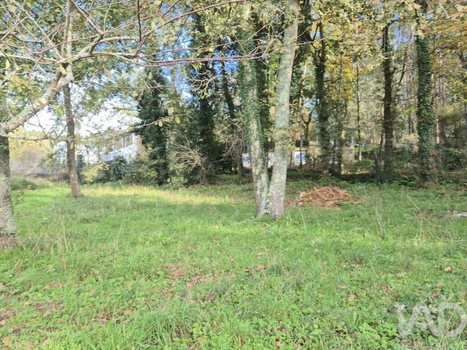 Terreno para Venda em Lobão, Gião, Louredo e Guisande Foto 5