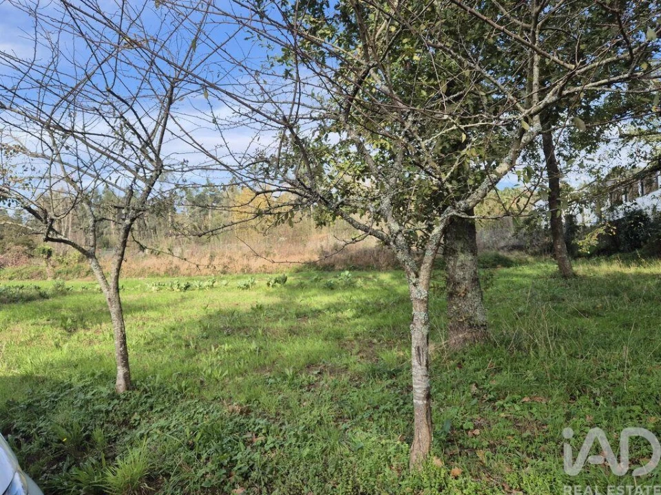Terreno para Venda em Lobão, Gião, Louredo e Guisande Foto 4