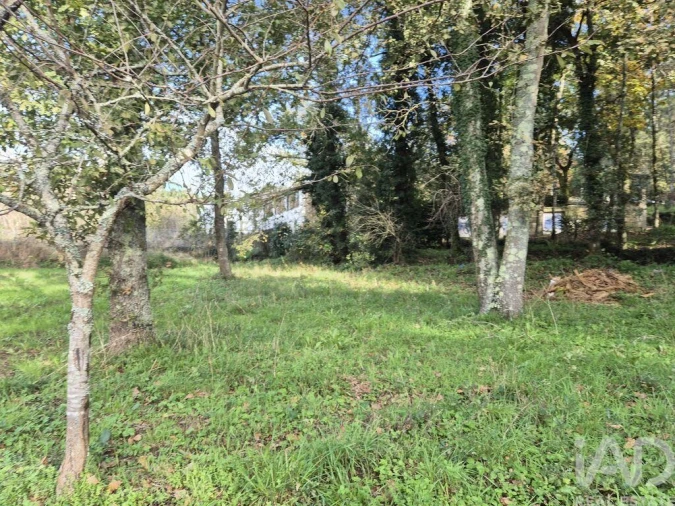 Terreno para Venda em Lobão, Gião, Louredo e Guisande Foto 3
