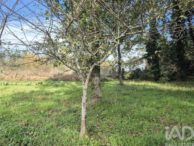 Terreno para Venda em Lobão, Gião, Louredo e Guisande Foto 7