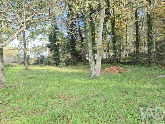Terreno para Venda em Lobão, Gião, Louredo e Guisande Foto 5