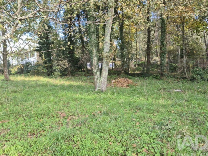 Terreno para Venda em Lobão, Gião, Louredo e Guisande Foto 2