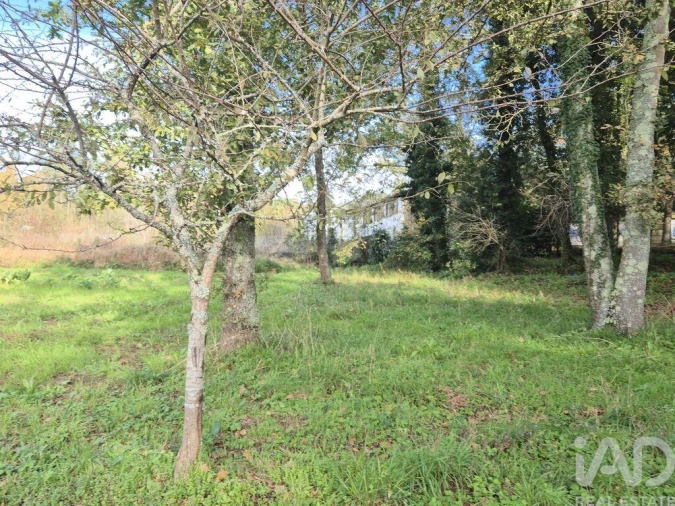 Terreno para Venda em Lobão, Gião, Louredo e Guisande Foto 14
