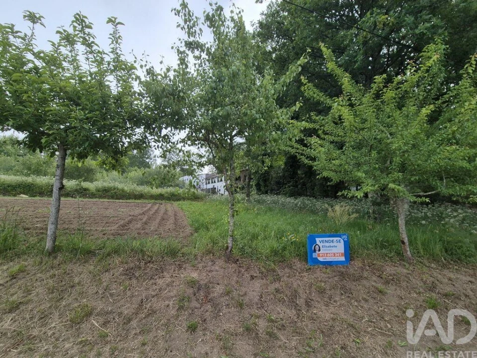 Terreno para Venda em Lobão, Gião, Louredo e Guisande Foto 9