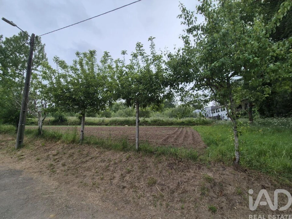 Terreno para Venda em Lobão, Gião, Louredo e Guisande Foto 12
