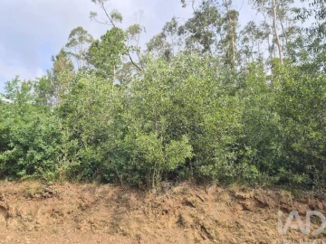 Terreno para Venda em Lobão, Gião, Louredo e Guisande