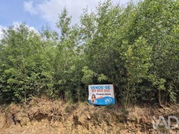 Terreno para Venda em Lobão, Gião, Louredo e Guisande
