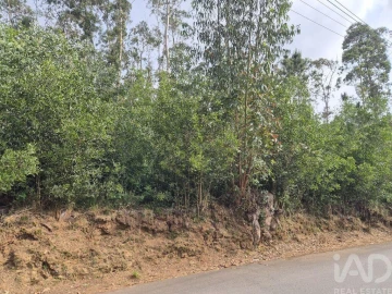 Terreno para Venda em Lobão, Gião, Louredo e Guisande