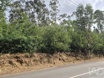 Terreno para Venda em Lobão, Gião, Louredo e Guisande