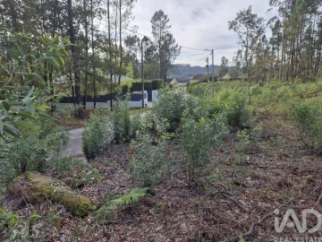 Terreno para Venda em Lobão, Gião, Louredo e Guisande