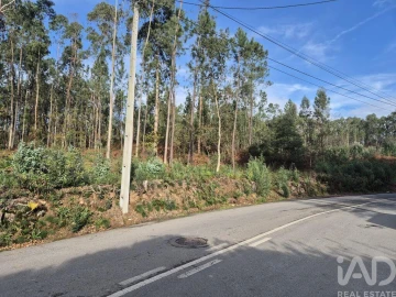 Terreno para Venda em Lobão, Gião, Louredo e Guisande