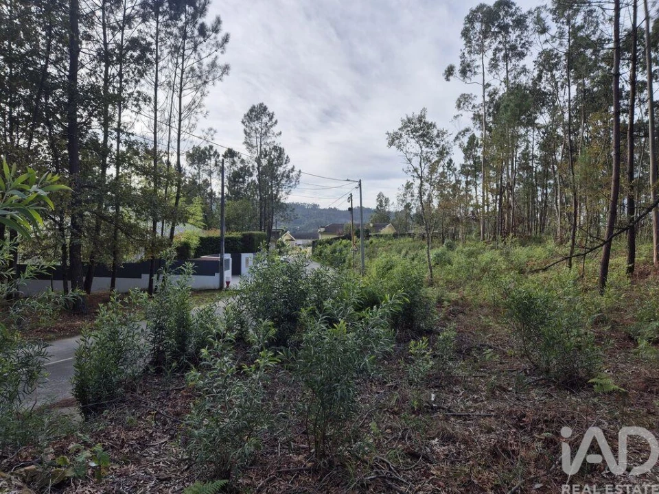 Terreno para Venda em Lobão, Gião, Louredo e Guisande Foto 16