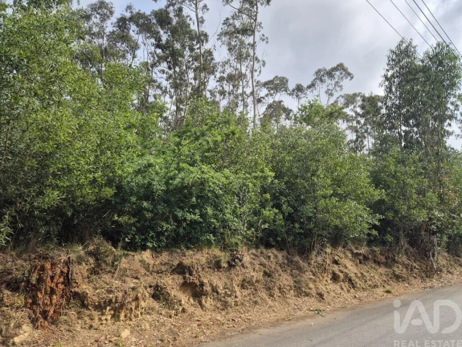 Terreno para Venda em Lobão, Gião, Louredo e Guisande Foto 5