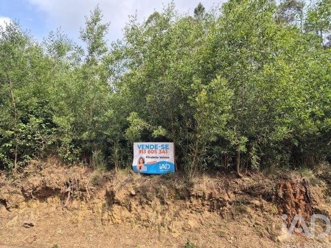 Terreno para Venda em Lobão, Gião, Louredo e Guisande Foto 10