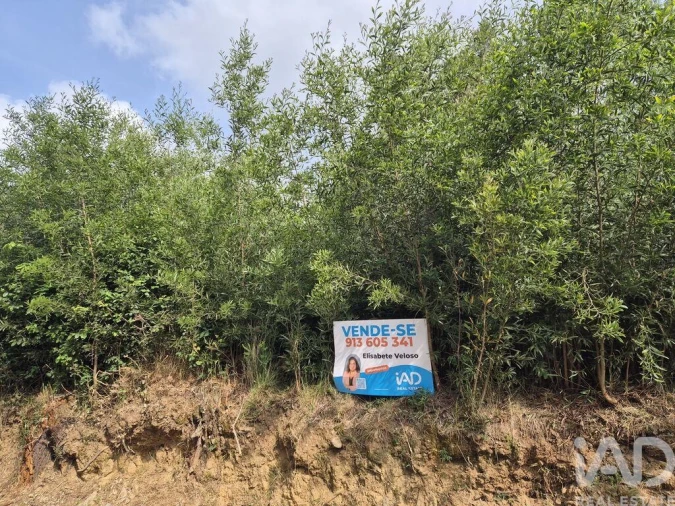 Terreno para Venda em Lobão, Gião, Louredo e Guisande Foto 7