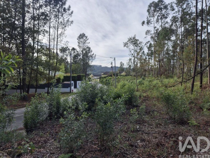 Terreno para Venda em Lobão, Gião, Louredo e Guisande Foto 16