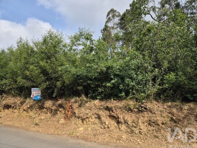 Terreno para Venda em Lobão, Gião, Louredo e Guisande Foto 6