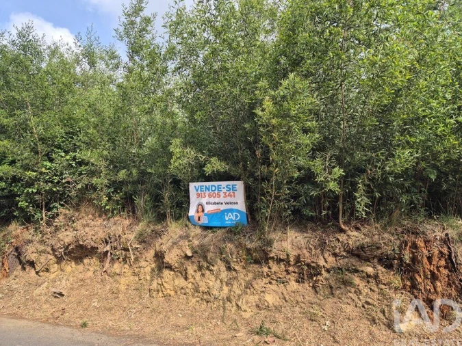 Terreno para Venda em Lobão, Gião, Louredo e Guisande Foto 8