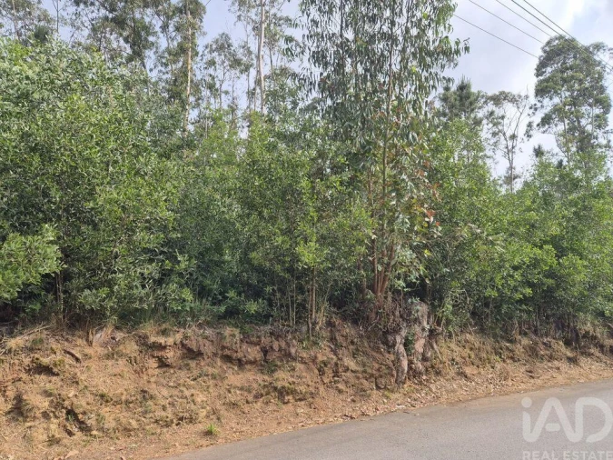 Terreno para Venda em Lobão, Gião, Louredo e Guisande Foto 4