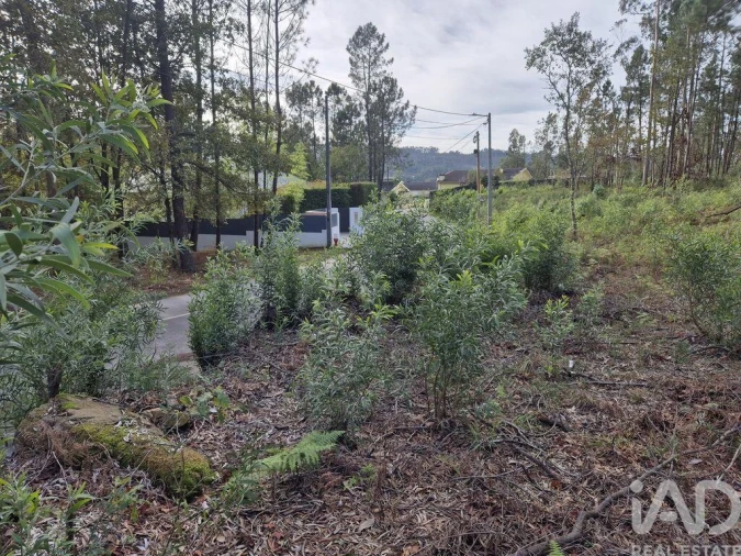 Terreno para Venda em Lobão, Gião, Louredo e Guisande Foto 14