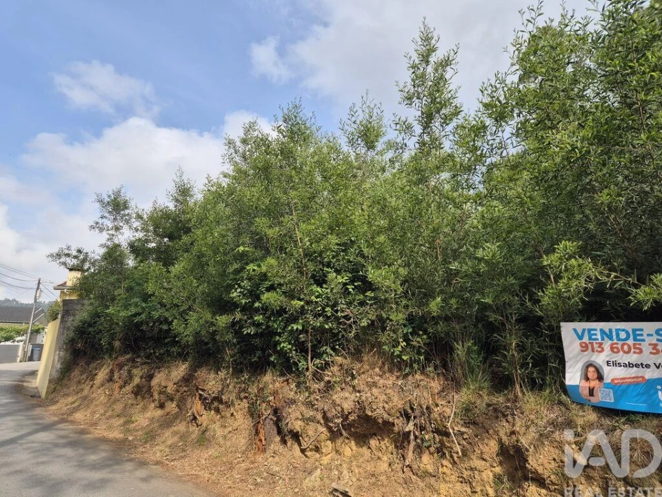Terreno para Venda em Lobão, Gião, Louredo e Guisande Foto 9