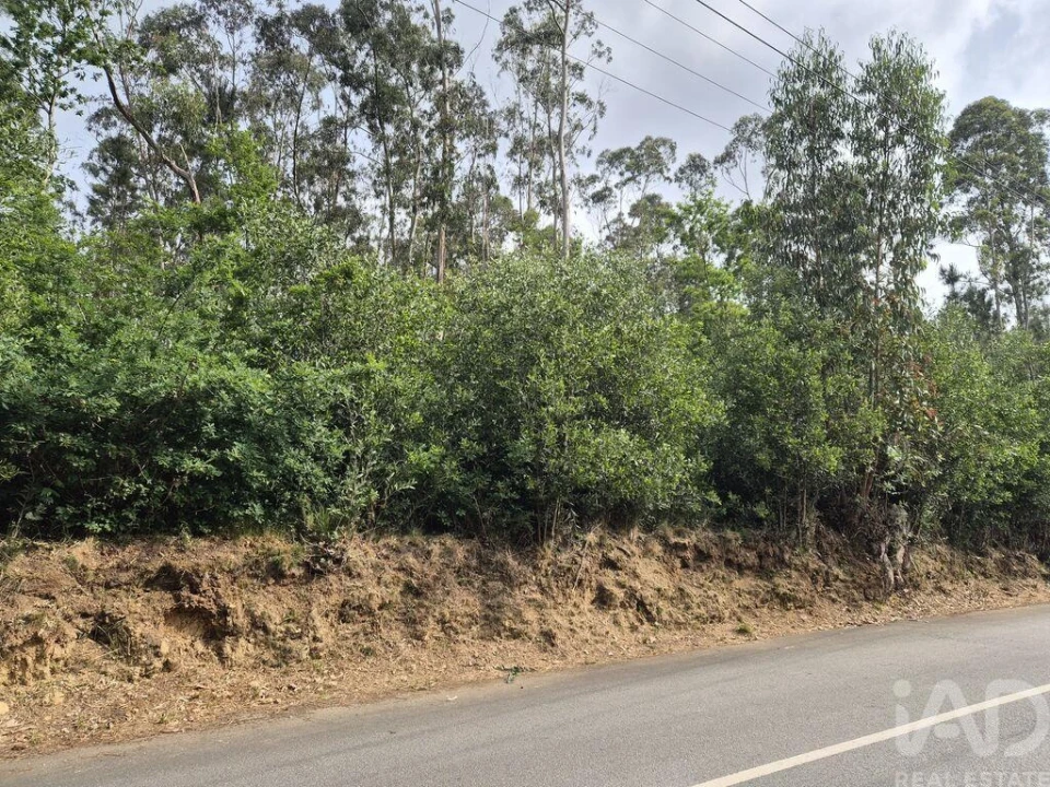 Terreno para Venda em Lobão, Gião, Louredo e Guisande Foto 13