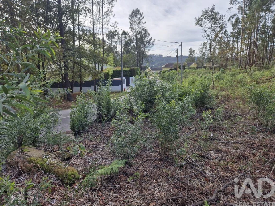 Terreno para Venda em Lobão, Gião, Louredo e Guisande Foto 14