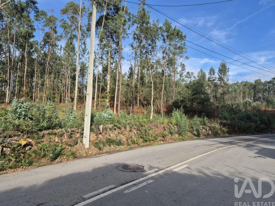 Terreno para Venda em Lobão, Gião, Louredo e Guisande Foto 12
