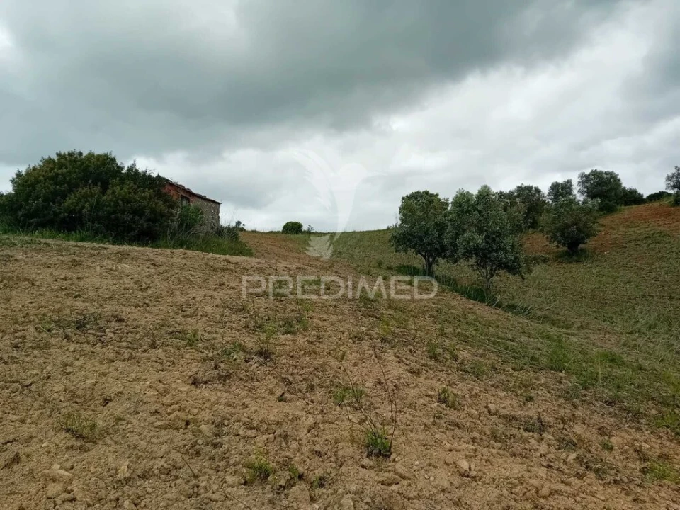 Terreno para Venda em Pernes Foto 3