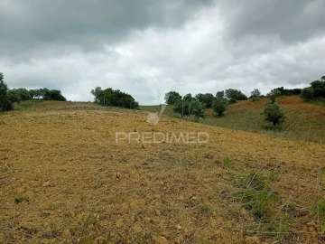 Terreno para Venda em Pernes