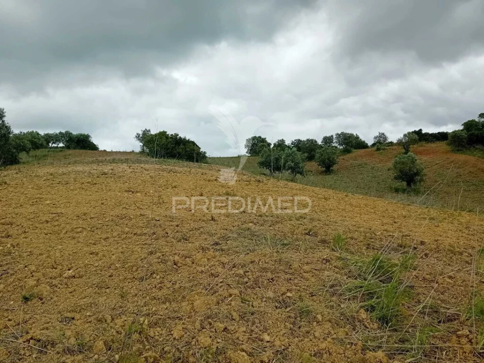 Terreno para Venda em Pernes Foto 2