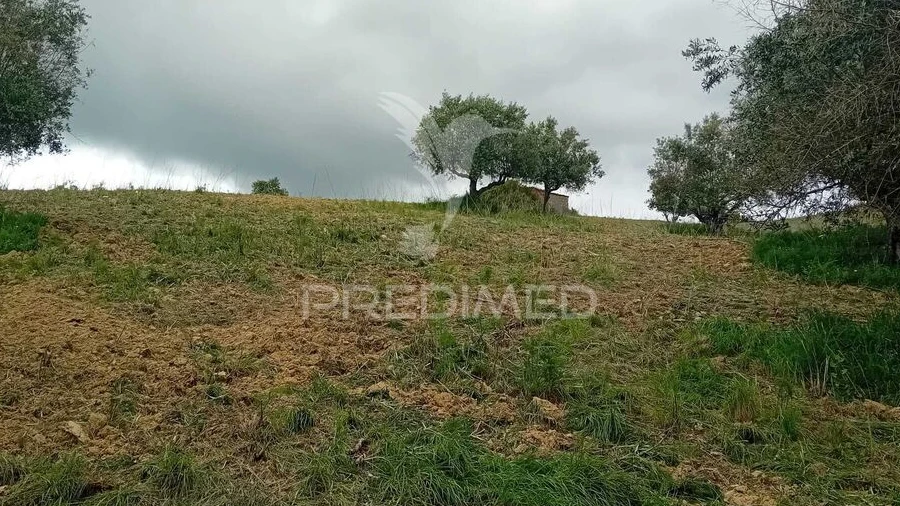 Terreno para Venda em Pernes