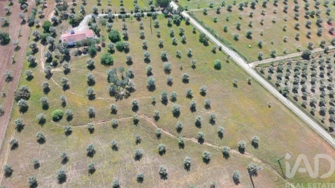 Quinta T2 para Venda em Alcórrego e Maranhão