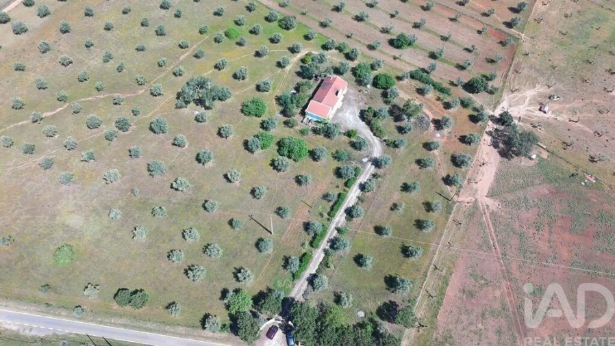 Quinta T2 para Venda em Alcórrego e Maranhão Foto 3