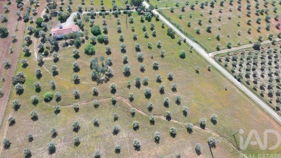 Quinta T2 para Venda em Alcórrego e Maranhão Foto 4