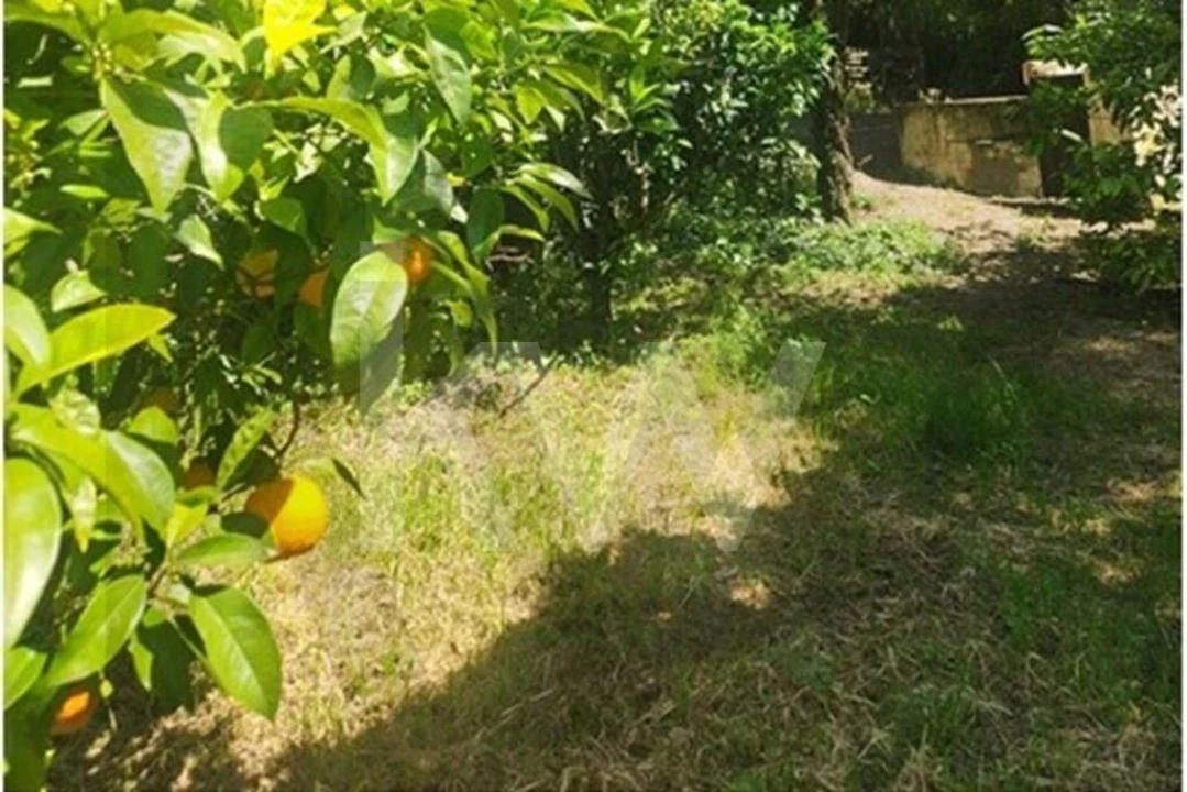 Terreno para Venda em Carcavelos e Parede Foto 4