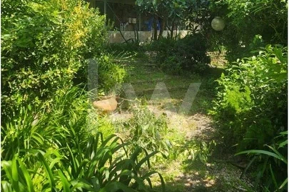 Terreno para Venda em Carcavelos e Parede
