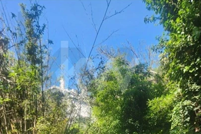 Terreno para Venda em Carcavelos e Parede