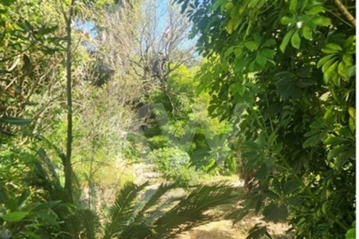 Terreno para Venda em Carcavelos e Parede