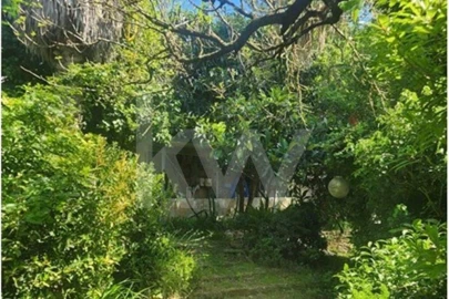 Terreno para Venda em Carcavelos e Parede